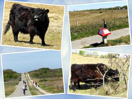 Collage   Schelpenpad  Strandopgang  Monster Ter Heijde  29 april 2025  