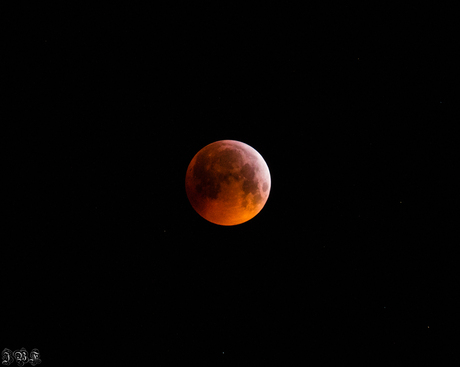 Bloodmoon