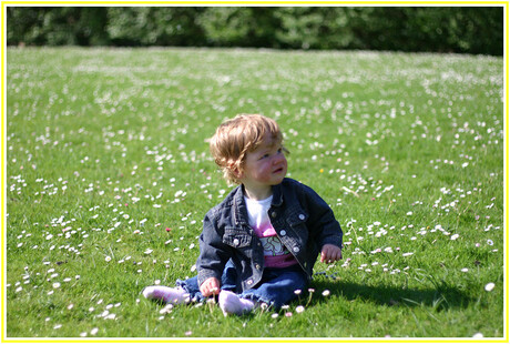 Fenna op de bloemetjesheuvel