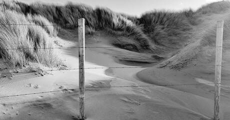 Duinen