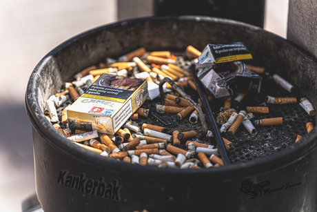 Cancer bin.