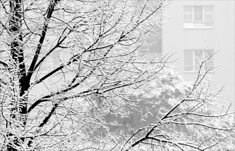 Toch nog wat sneeuw in de stad.