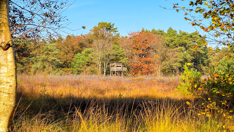 Herfst in Steenbergen