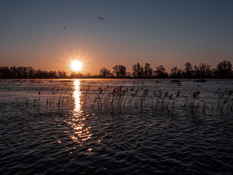 Zonsopkomst IJssel