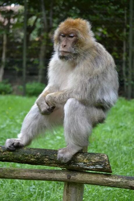 Ik heb zóó geen zin