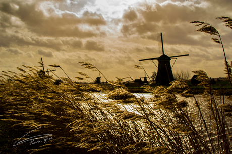 Denkend aan Holland