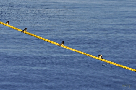 4-op-een-rij
