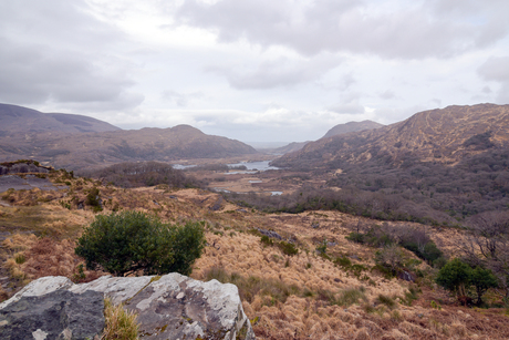 Ladies View, Ierland