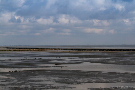 Waddenzee vanaf Ameland