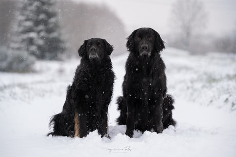 betoverend winterlandschap