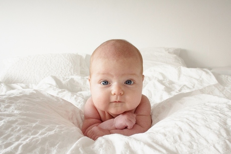 zingen Onverbiddelijk In zoomen Foto's met de zoekterm 'Baby 2 maanden' op Zoom.nl