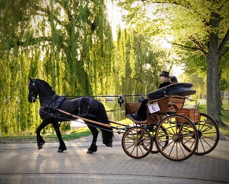 (Bijna) klaar voor de start