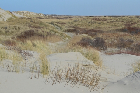 Duinen bij Boschplaat Terschelling