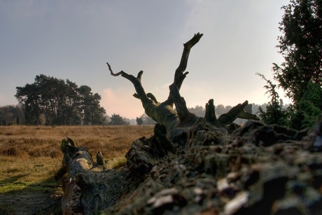 Herfst in Twente, Buurseveen