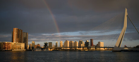 Erasmusbrug met regenboog