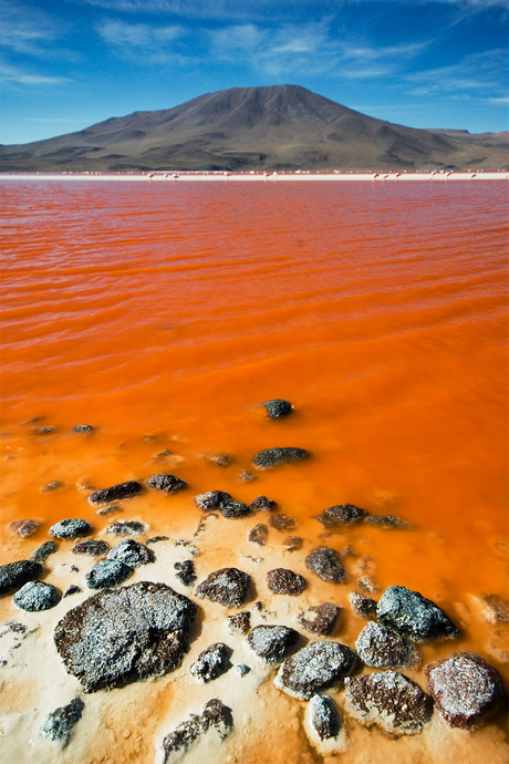 Laguna Colorada