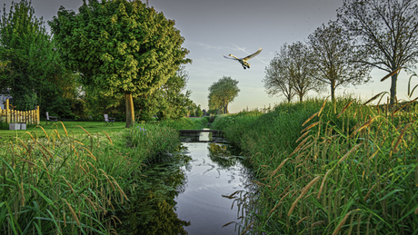 Alles is weer mooi groen!