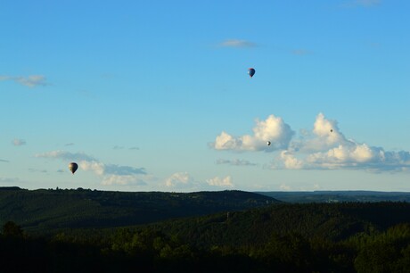 Hete lucht ballonen boven de bomen