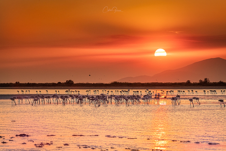 Sunset in Kos Island Greece