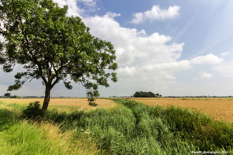 Landschapje