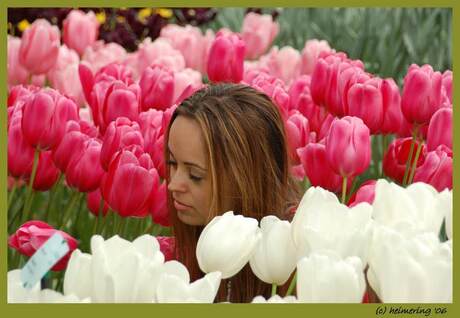 Keukenhof 4