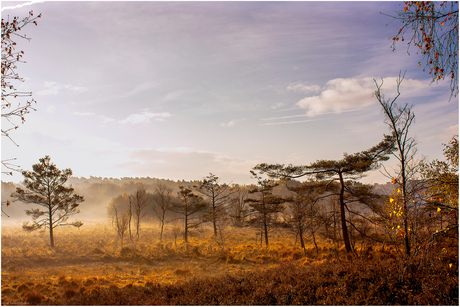 Herfst met winterse temperaturen.