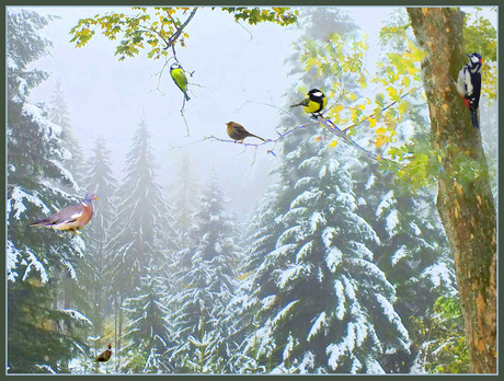 Wintervogelparadijs