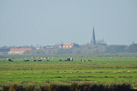 uitzicht broekpolder in vlaardingen