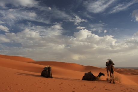 Erg Chebbi, Marokko