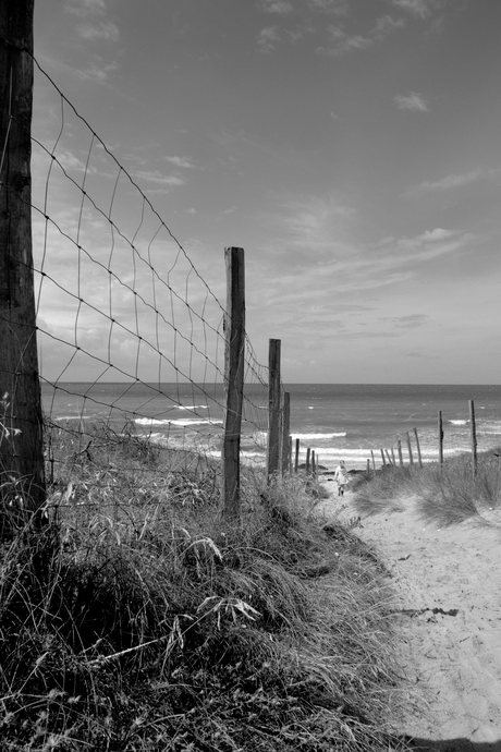 Alleen aan Zee