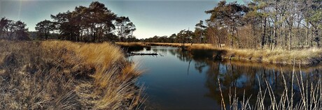 Oude Buische heide