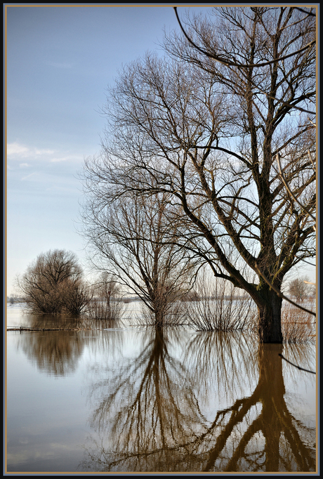 Hoog water