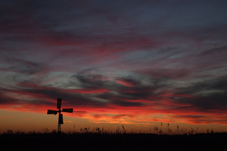 2017-01-20 Windmolen vlak na zonsondergang