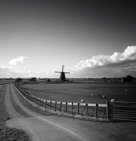 Naar de molen