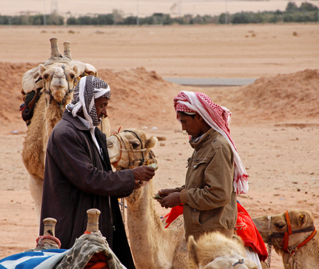 Kosten kameelrit voor toeristen, even onderhandelen