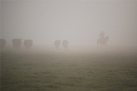 cowboy in de mist