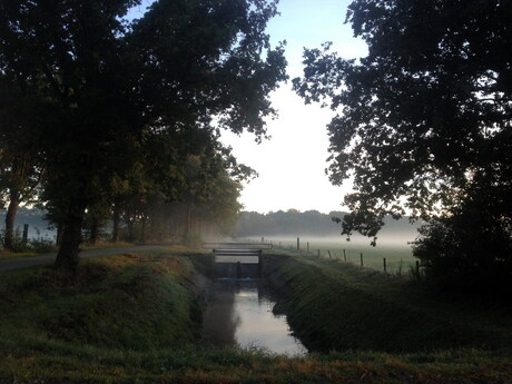 Herfst in Driene