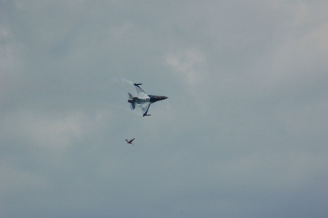 The Falcon and Di Falcone