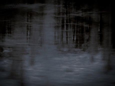 ghost woods