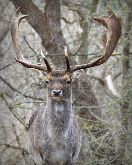 Opgaan in zijn omgeving
