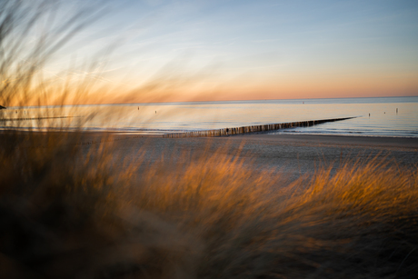 Duinen aan zee