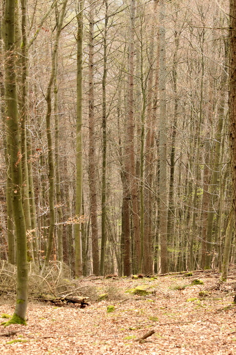 Sauerland Duitsland.