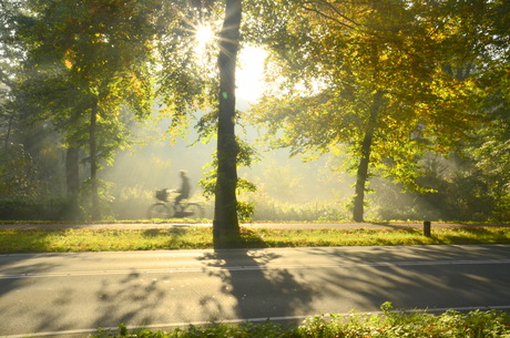 NAAR SCHOOL IN DE MIST.....