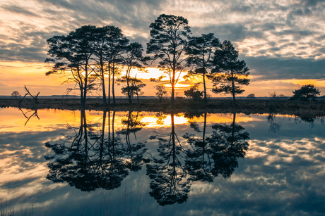 Weerspiegeling.