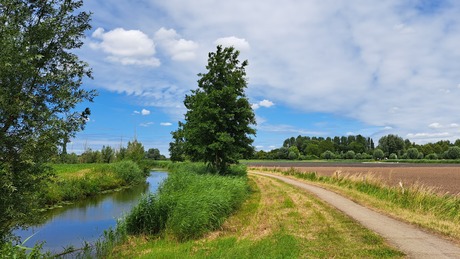 Landschap nabij Waardhuizen