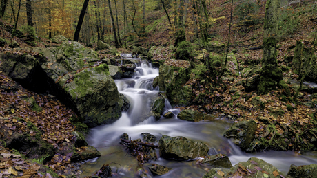 Herfst Ninglinspo