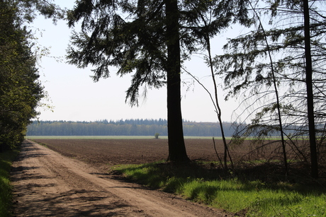 Natuur en mens