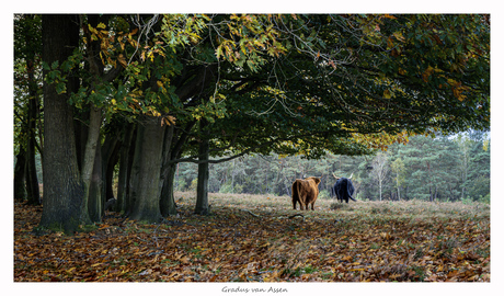 herfst