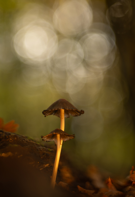 It takes two to tango