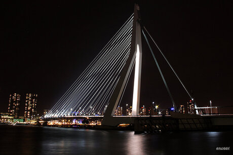 rotterdam